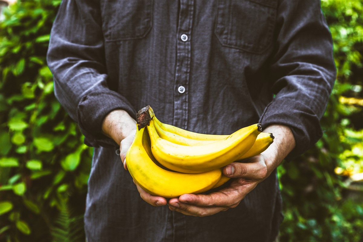prolonger la fraîcheur des bananes