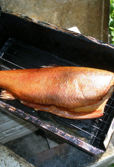 saumon cuit lentement