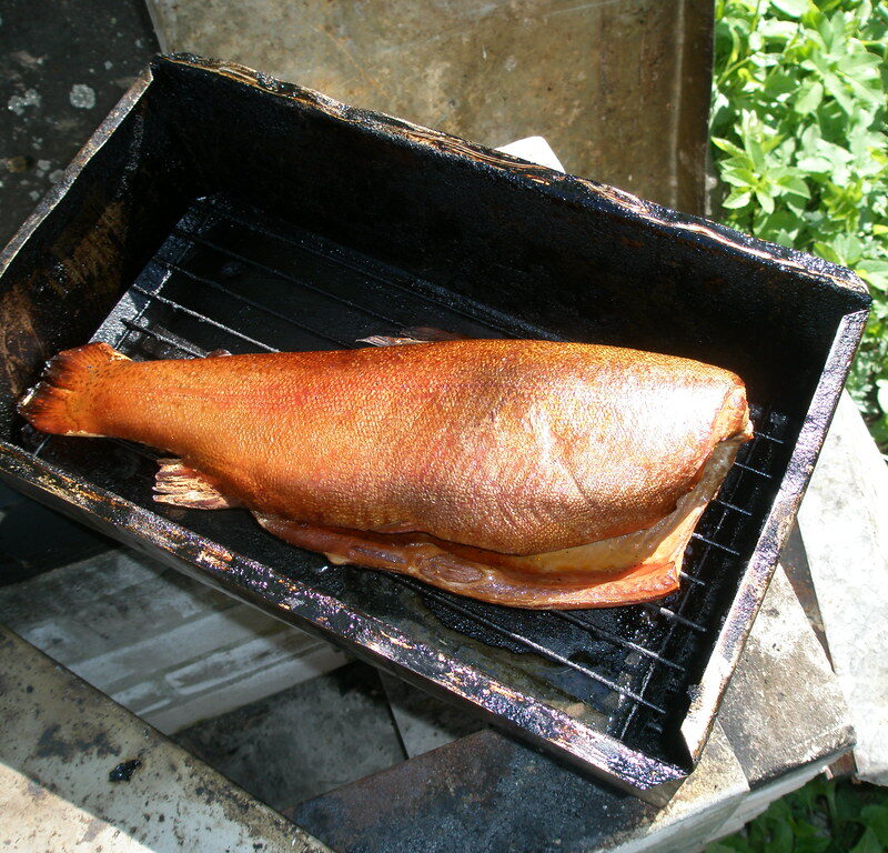 saumon cuit lentement