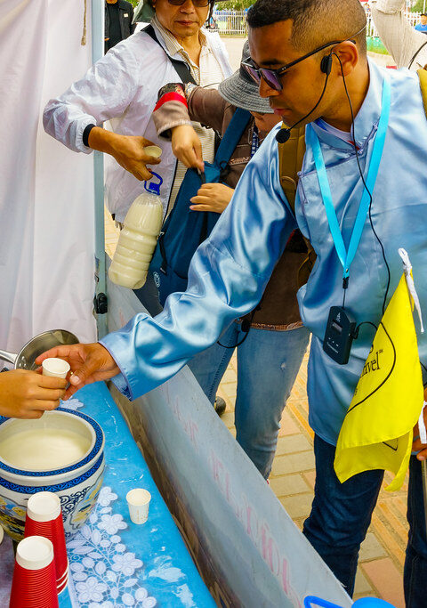 champagne des nomades