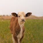 10 défis de cuisine à relever entre amis ou en famille