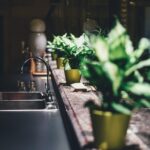 Le fruit mucua : un trésor nutritionnel oublié à intégrer dans vos recettes