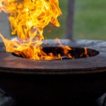 Prix du kilo de truffes : découvrez les différences de qualité