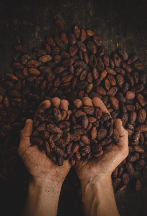 person holding dried beans