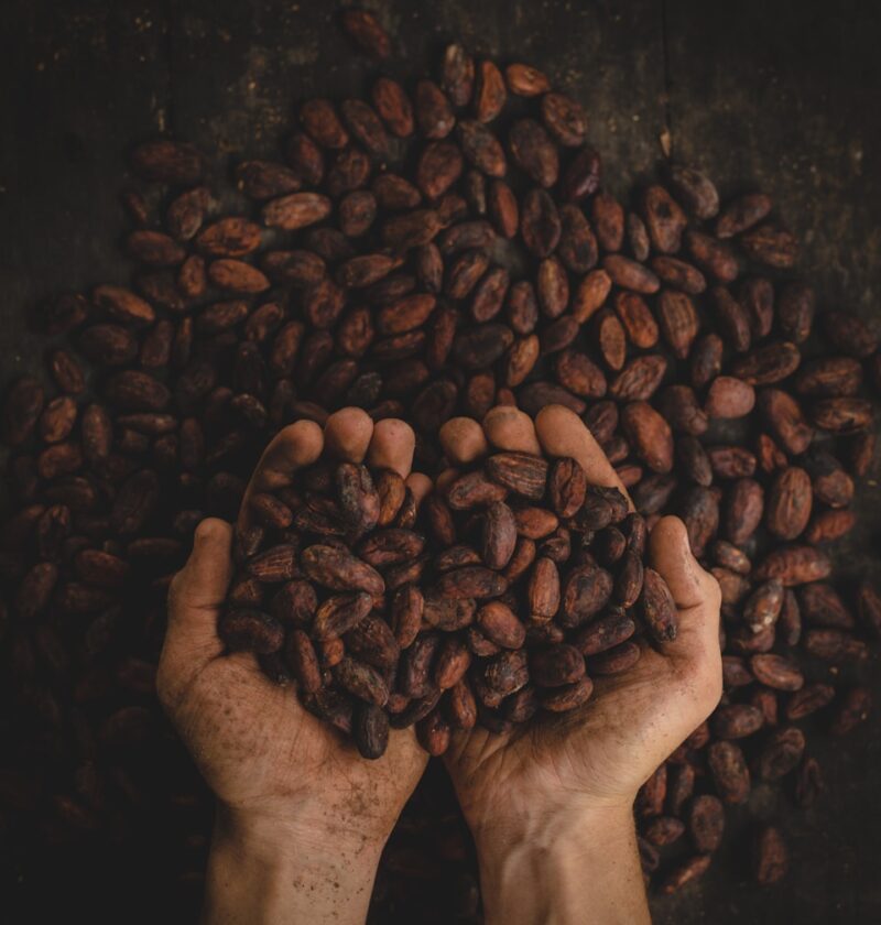 person holding dried beans