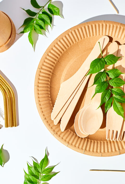 vaisselle écologique