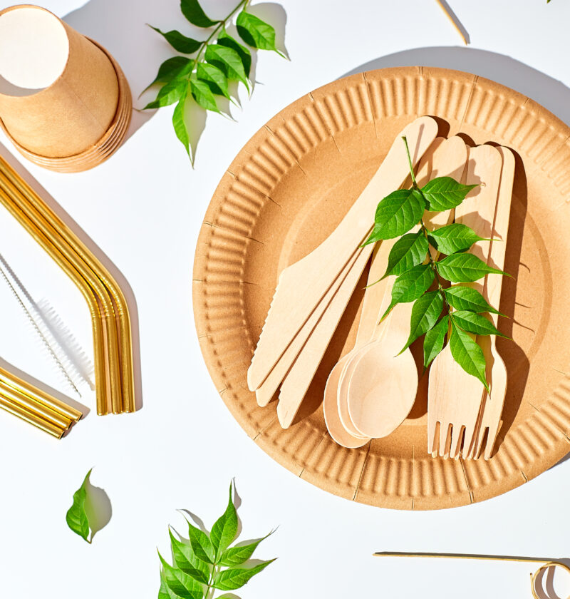 vaisselle écologique