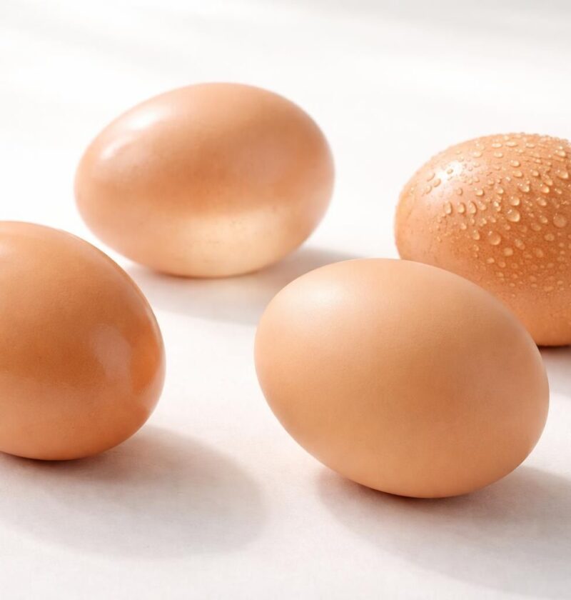 découvrez pourquoi les œufs de catégorie a possèdent plusieurs caractéristiques uniques qui garantissent leur qualité, leur fraîcheur et leur sécurité pour une consommation optimale.