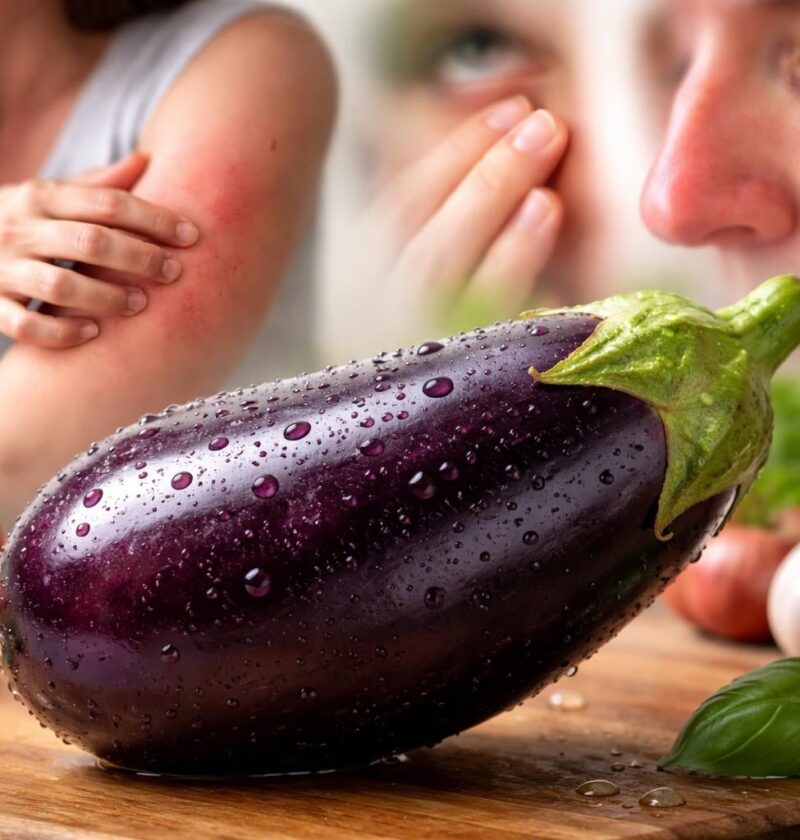 découvrez les liens entre la consommation d'aubergine et les allergies, symptômes, précautions et conseils pour éviter les réactions allergiques.